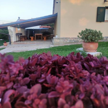 Ferienwohnung Iskra Grožnjan Exterior foto